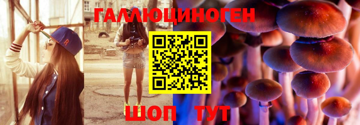 Галлюциногенные грибы Psilocybine cubensis Костомукша